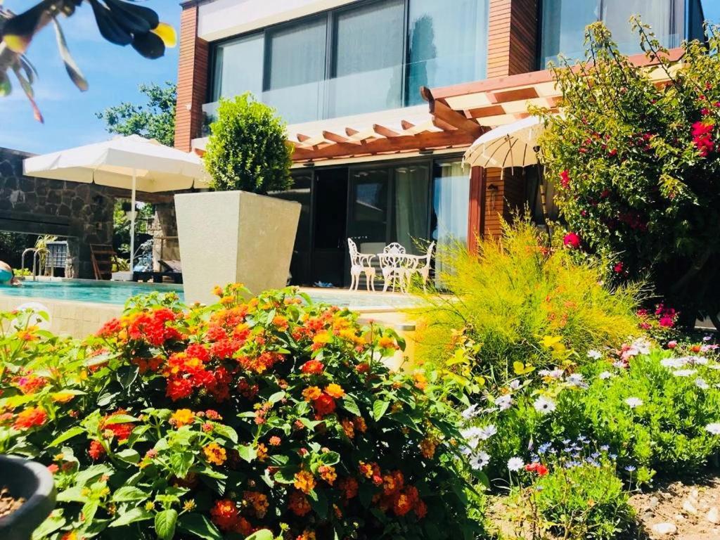 Oda ve Kahvaltı No 5 2*